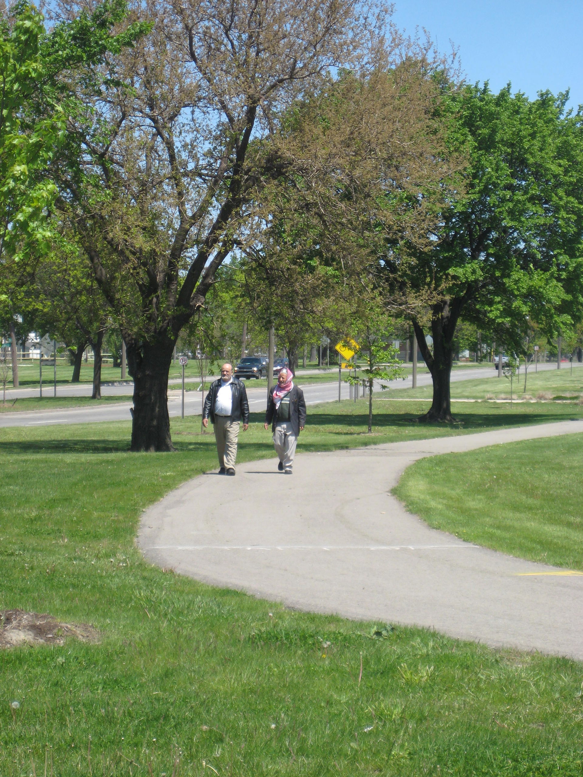 Southwest Detroit view 5