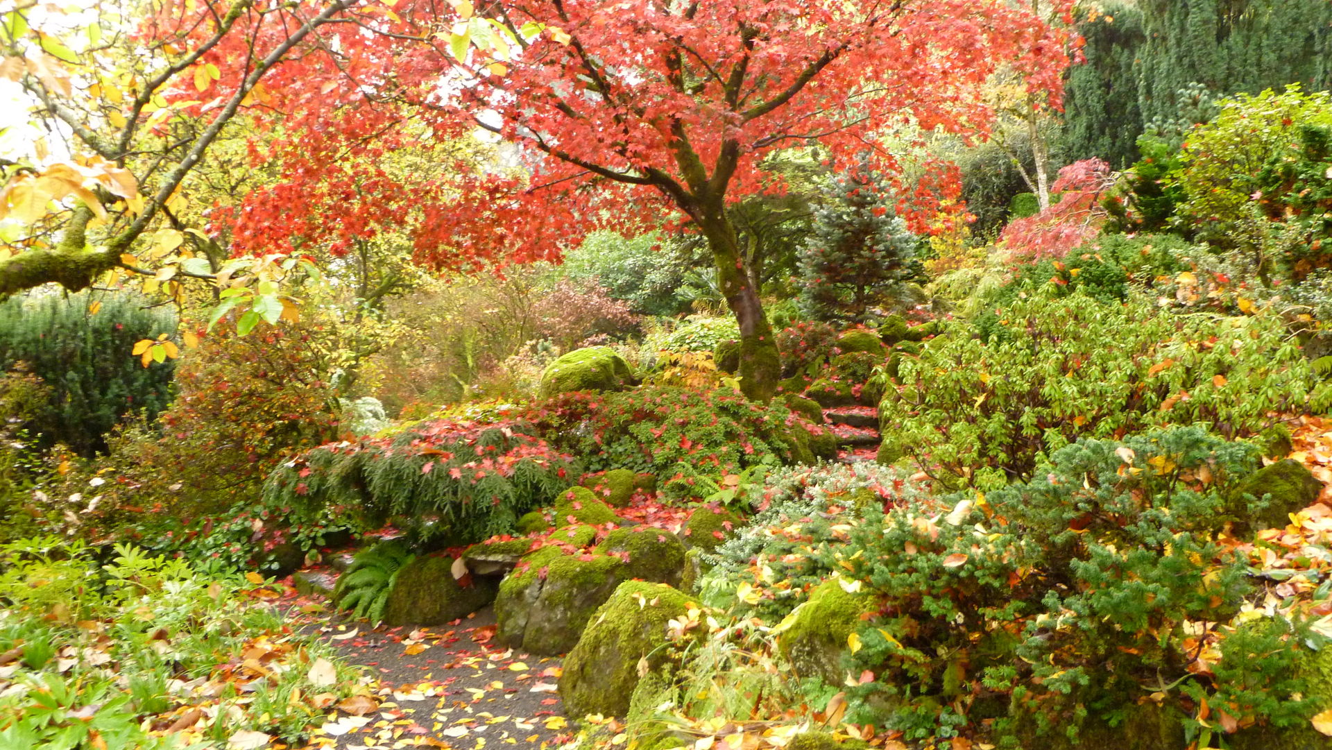 Southwest Portland view 1