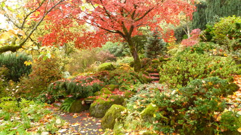 Southwest Portland view 1