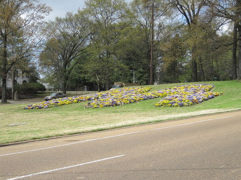 East Memphis view 3