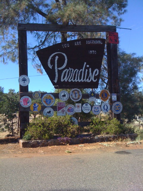 Paradise view 3