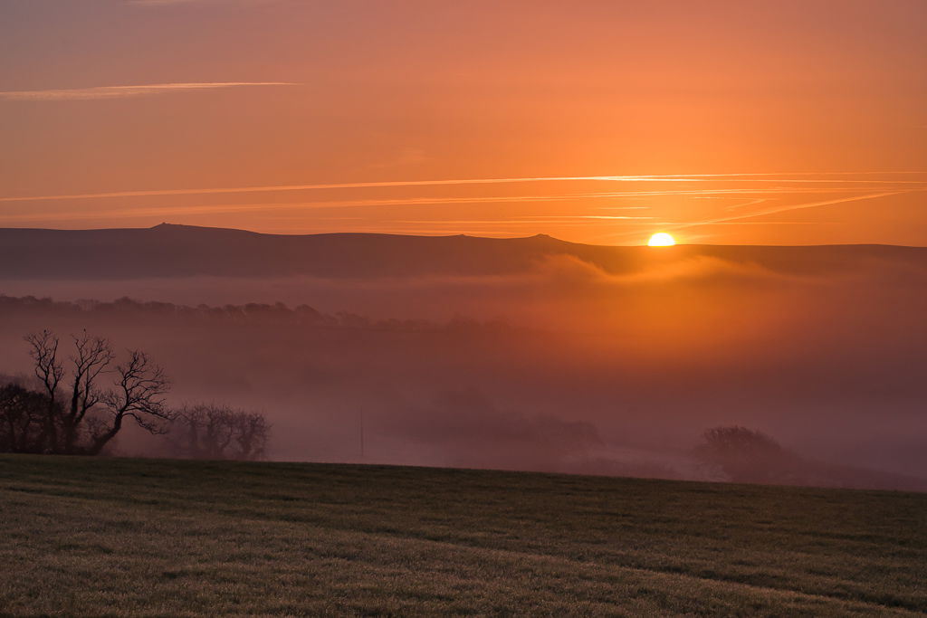 Sunrise Manor view 5