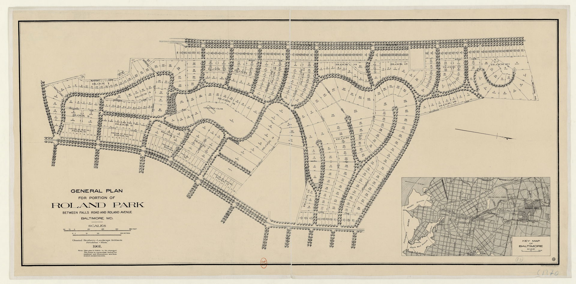 Roland Park view 5
