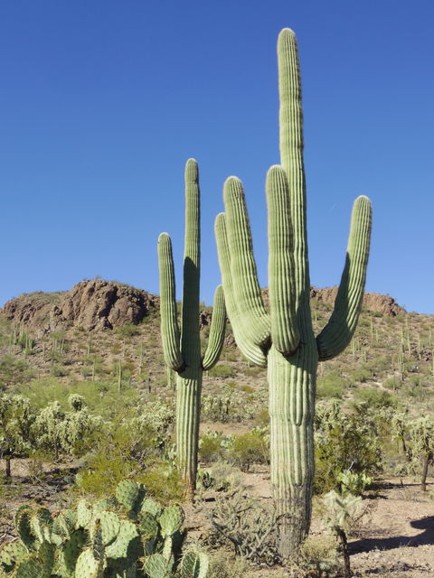Tucson view 1