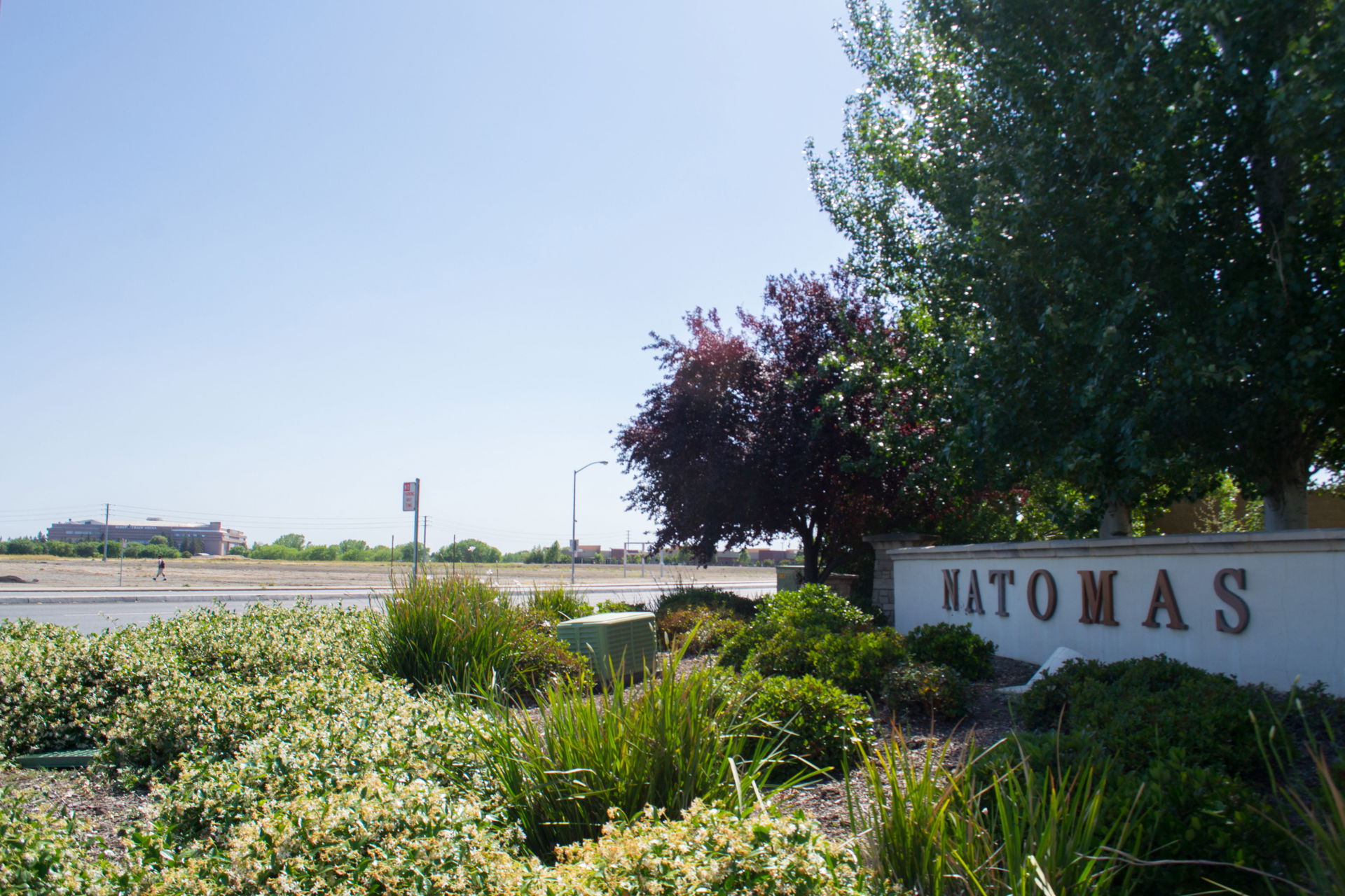 Natomas view 5