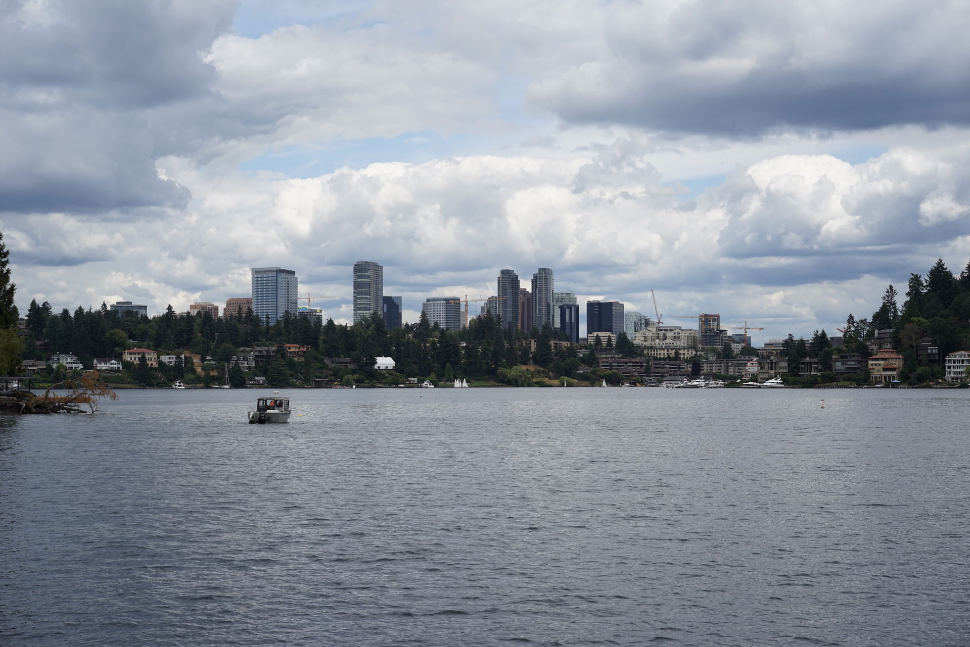 Bellevue view 2