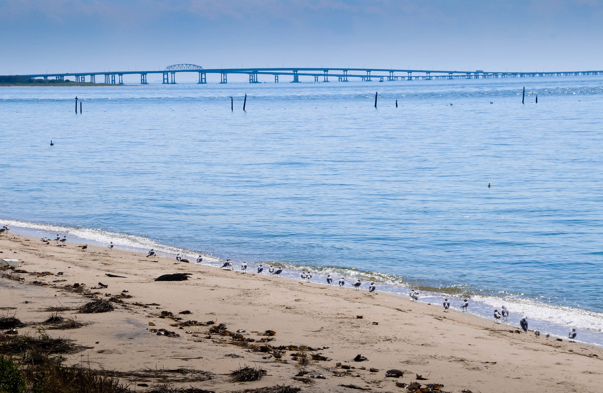 Chesapeake Bay Area view 3