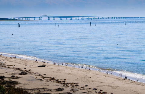 Chesapeake Bay Area view 3