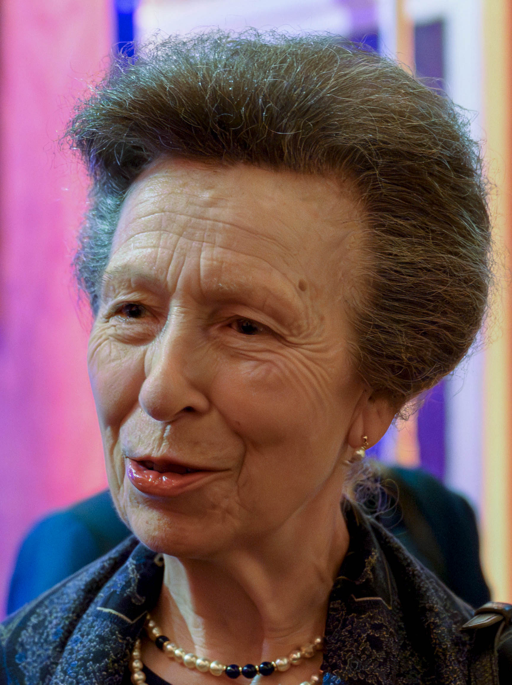 Princess Anne view 1