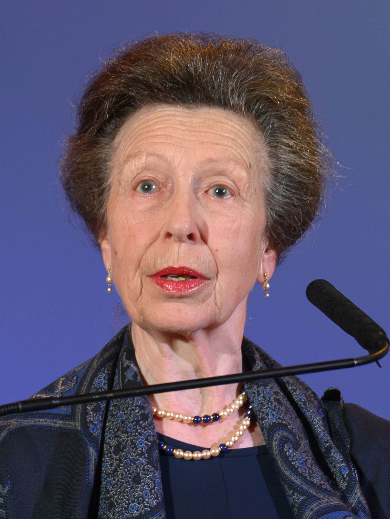 Princess Anne view 2