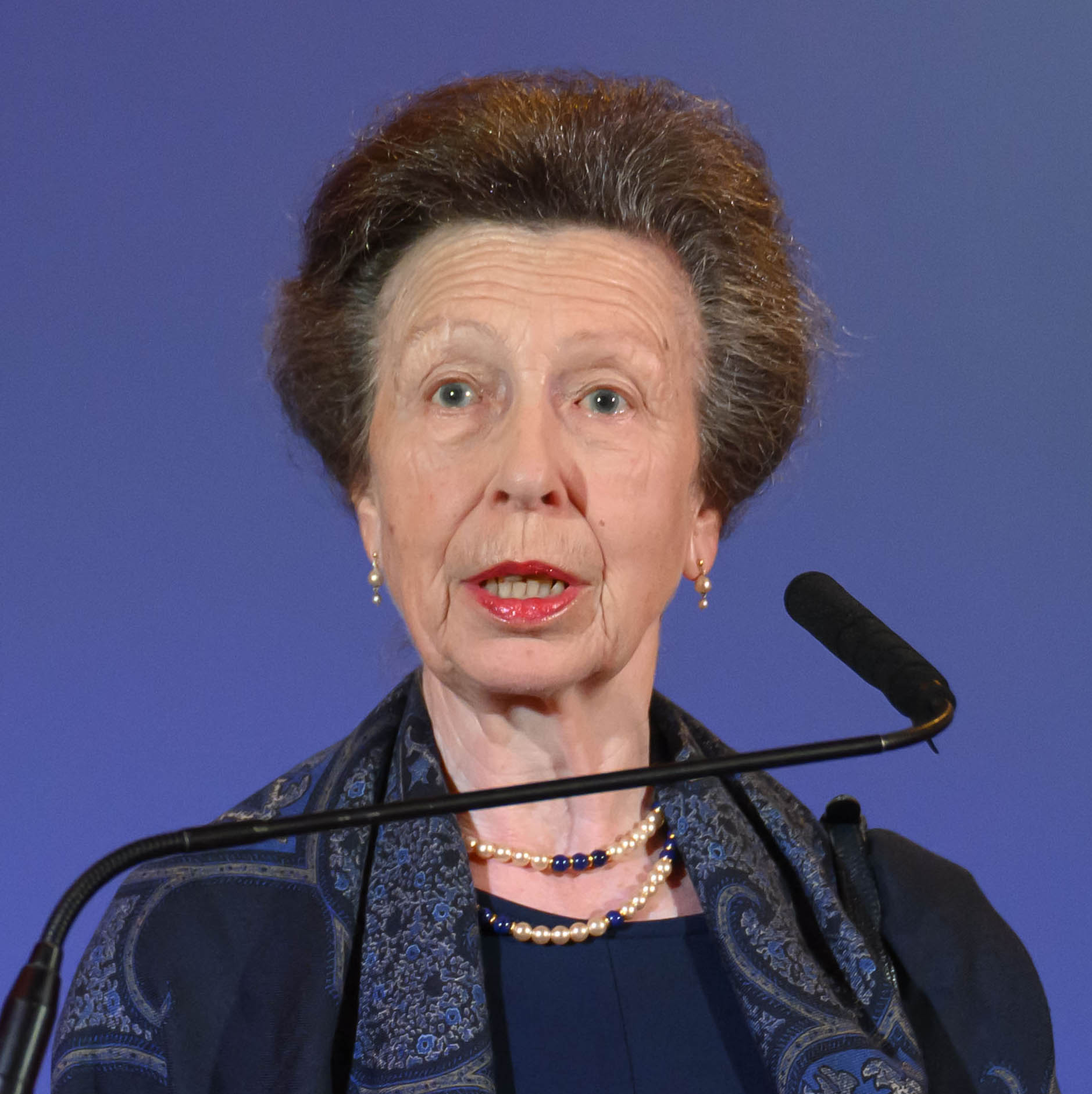 Princess Anne view 5