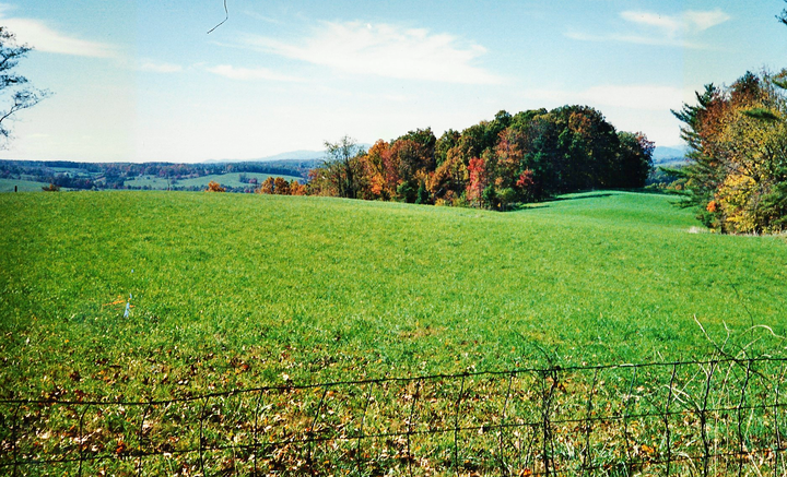 Woodlawn district