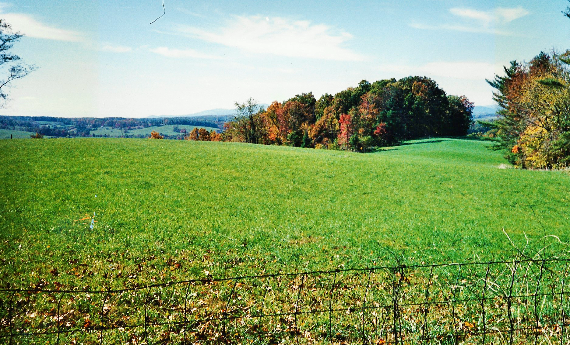Woodlawn view 5