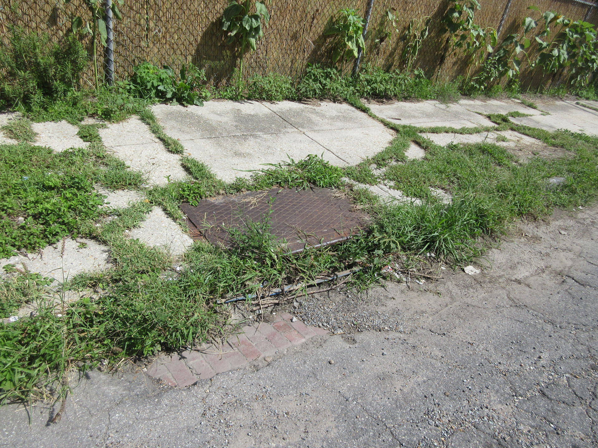 City of New Orleans view 4