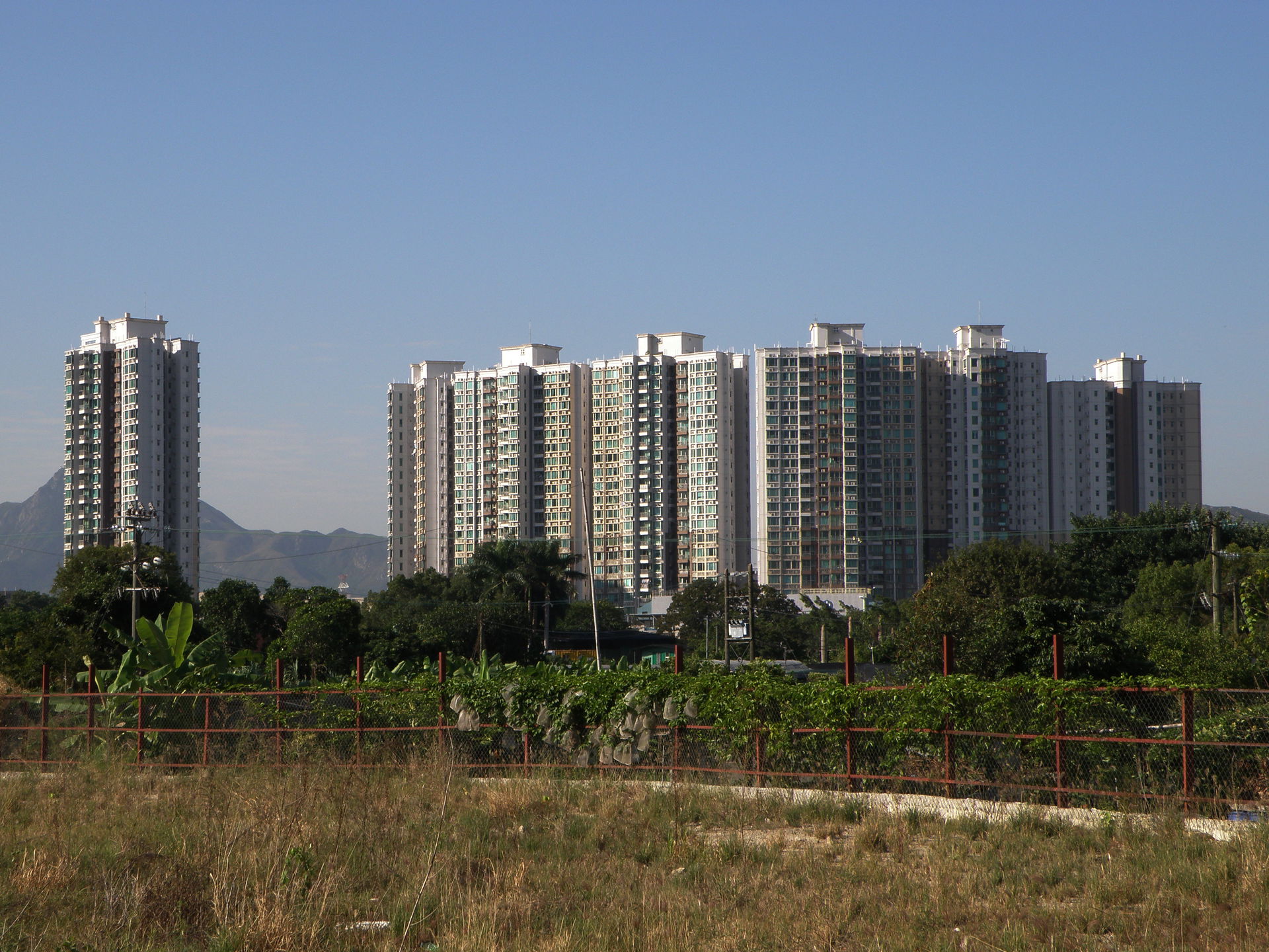Uptown view 3