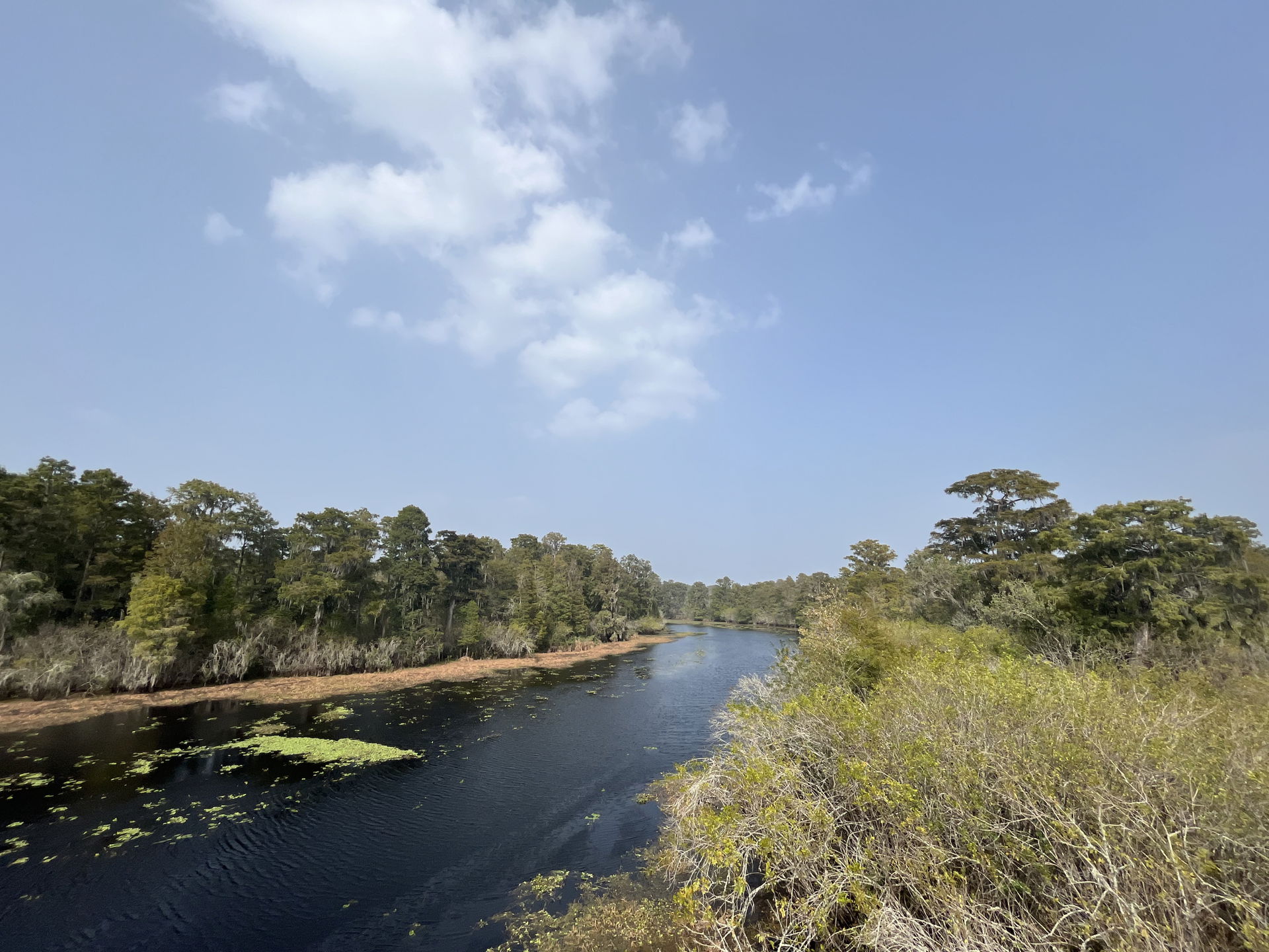 Hillsborough County view 2