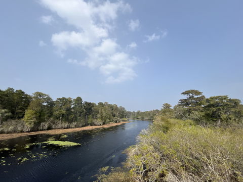 Hillsborough County view 2