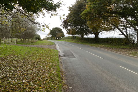 Stapleton view 2