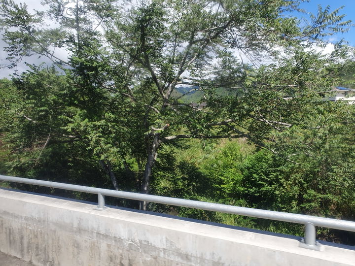 Kalihi district