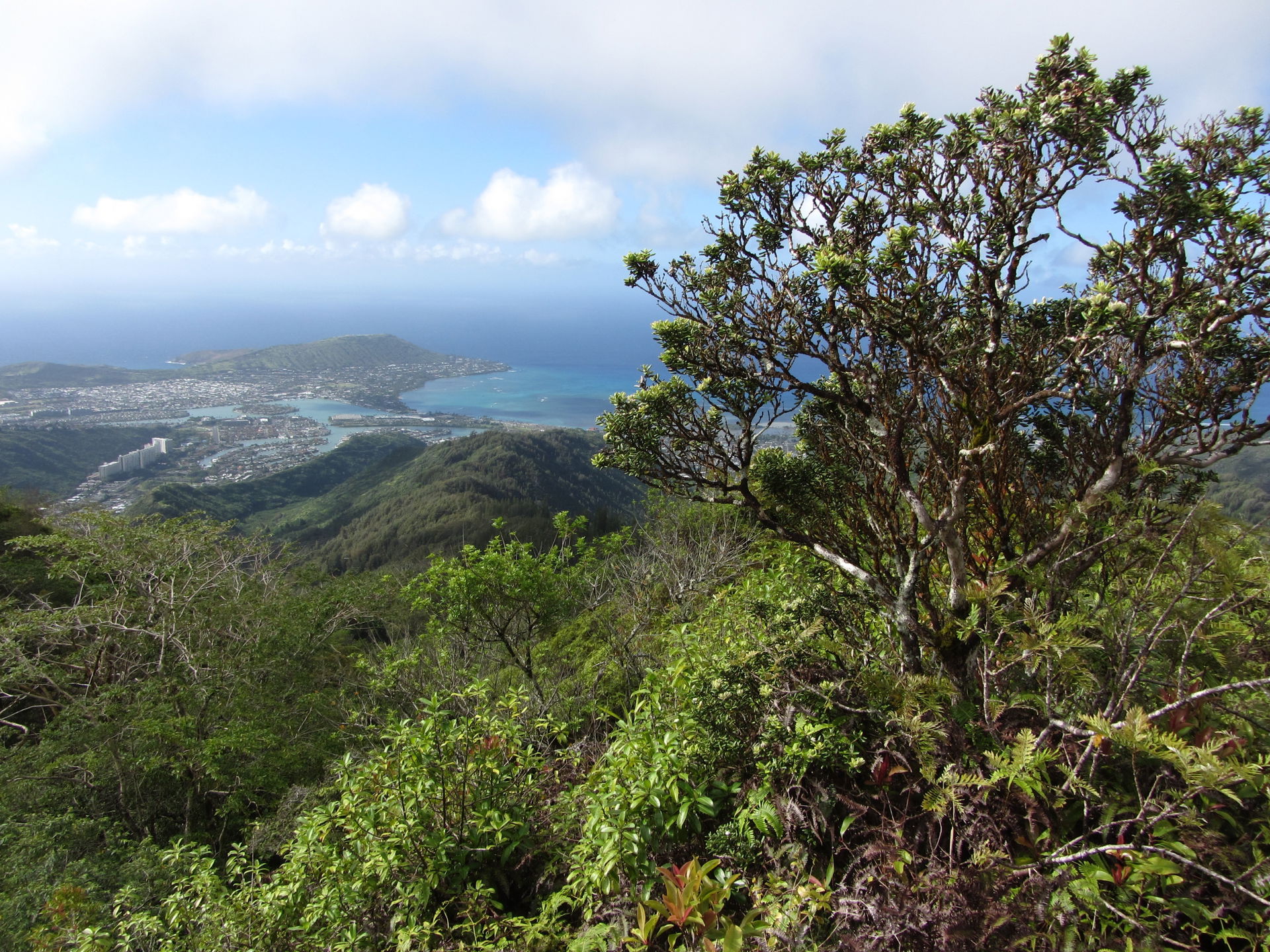Hawai'i Kai view 4