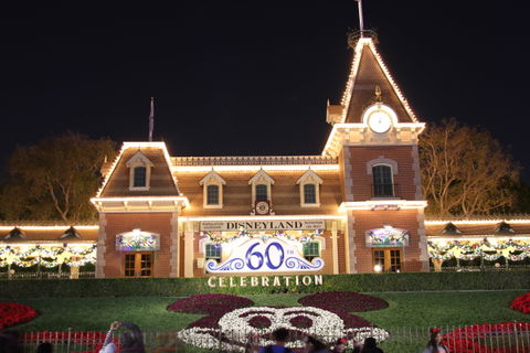 Anaheim Resort view 2