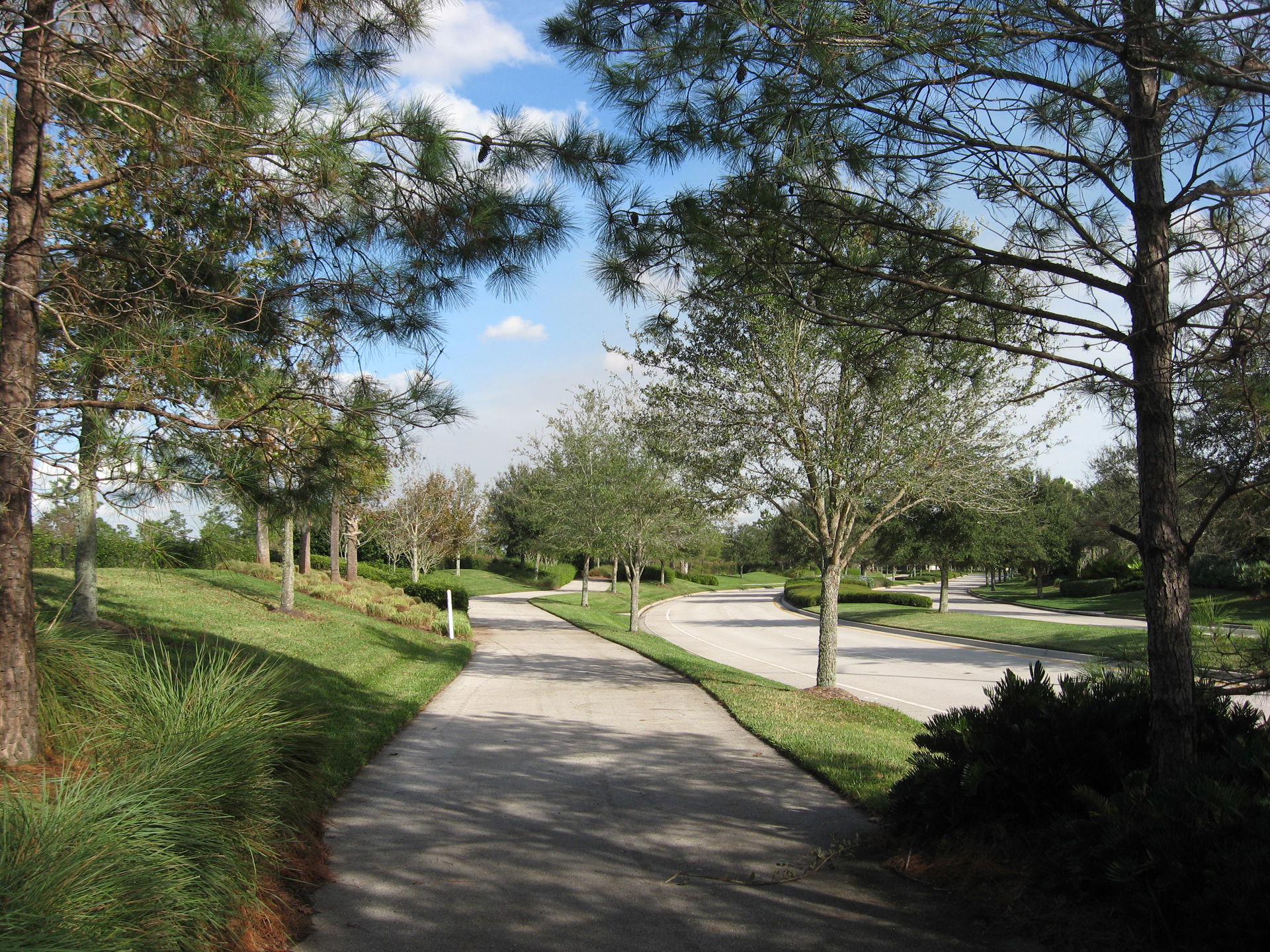 Lake Nona view 2