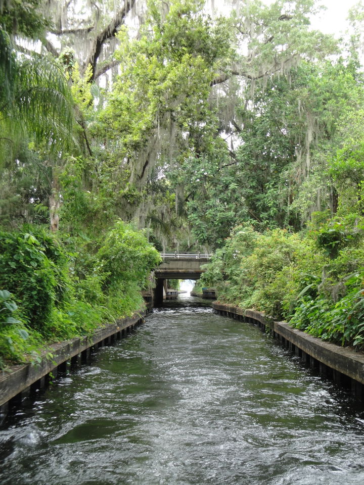 Winter Park district