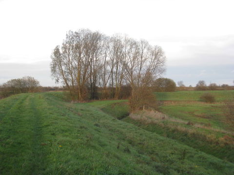Willow Bend view 1