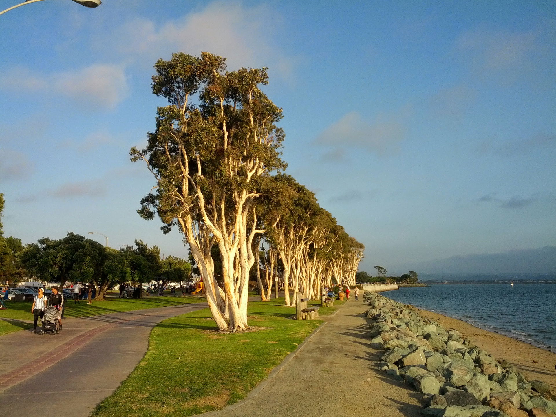 Chula Vista Bayfront view 2