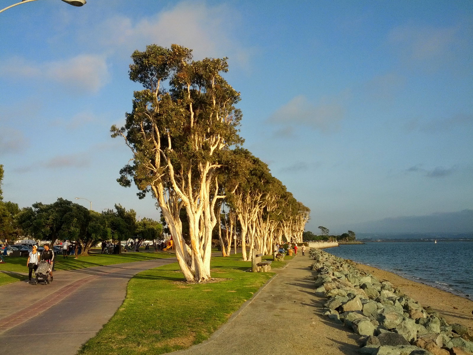 Chula Vista Bayfront district