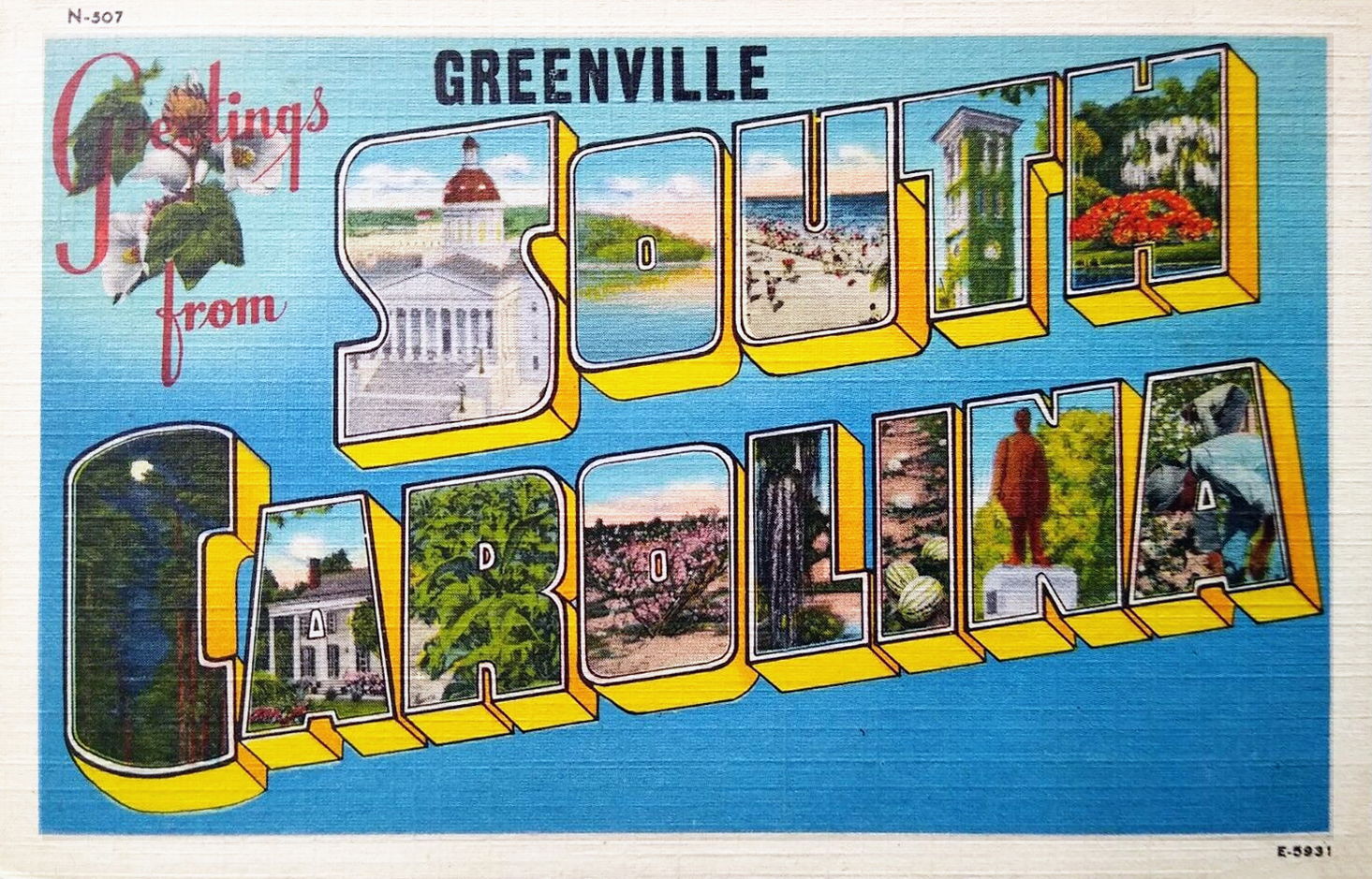 Greenville view 4