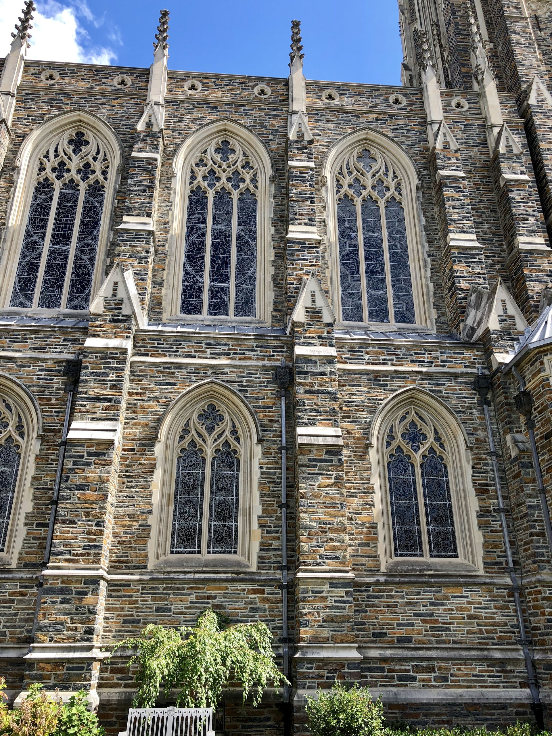 Duke University view 4