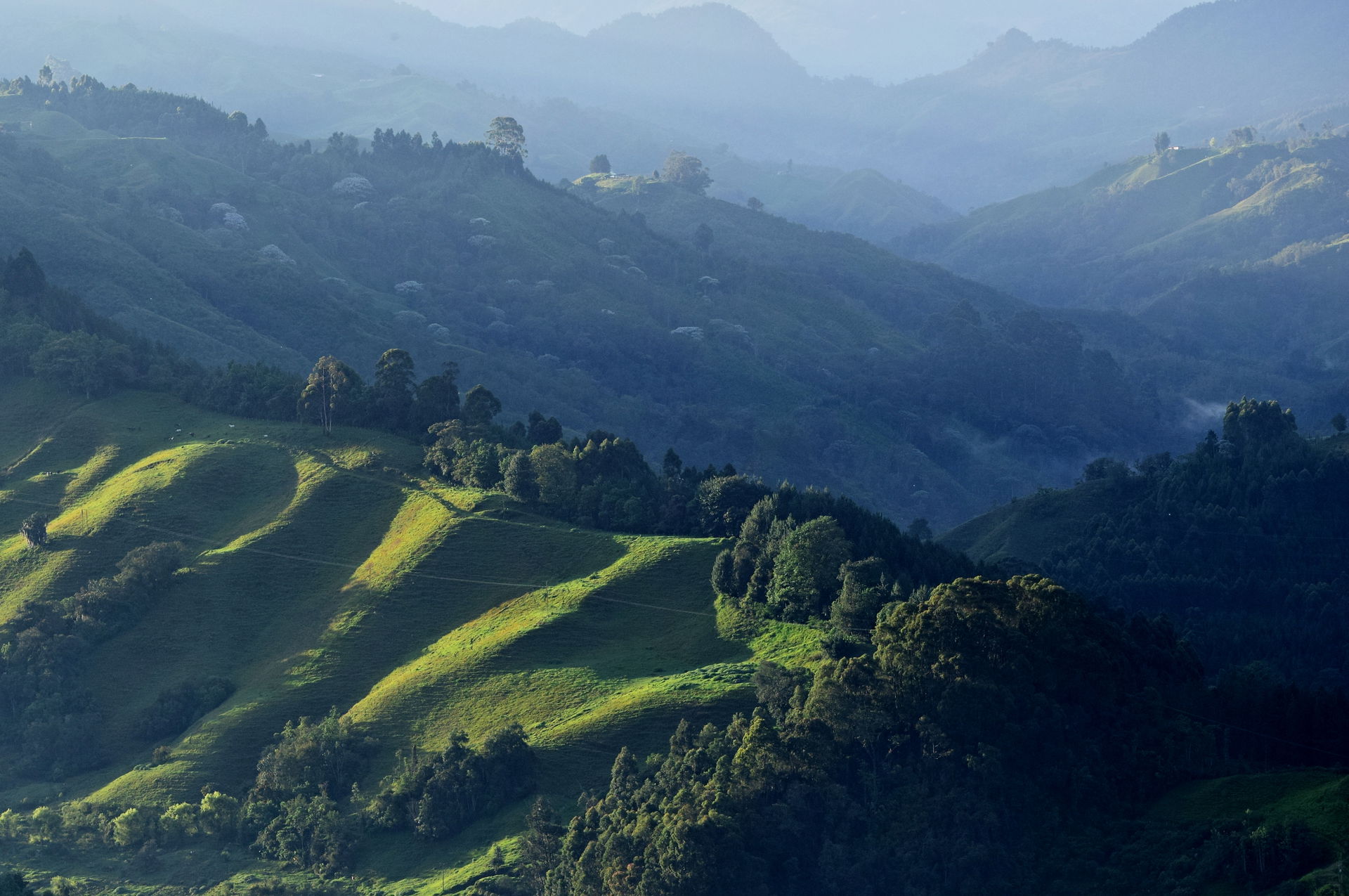 Vista Hermosa view 4