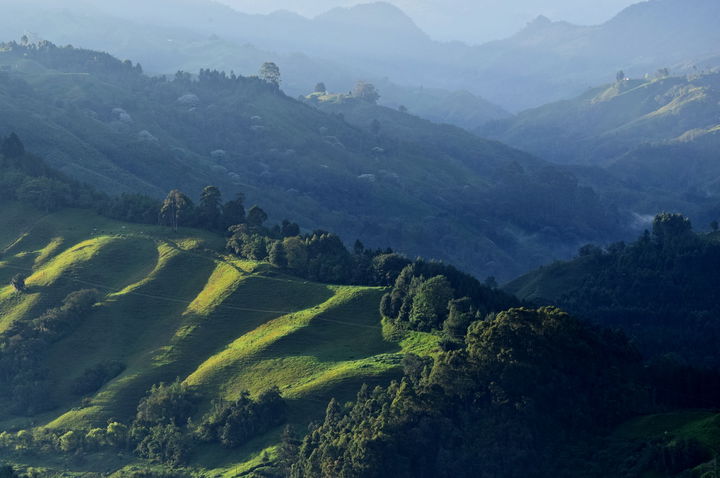 Vista Hermosa district