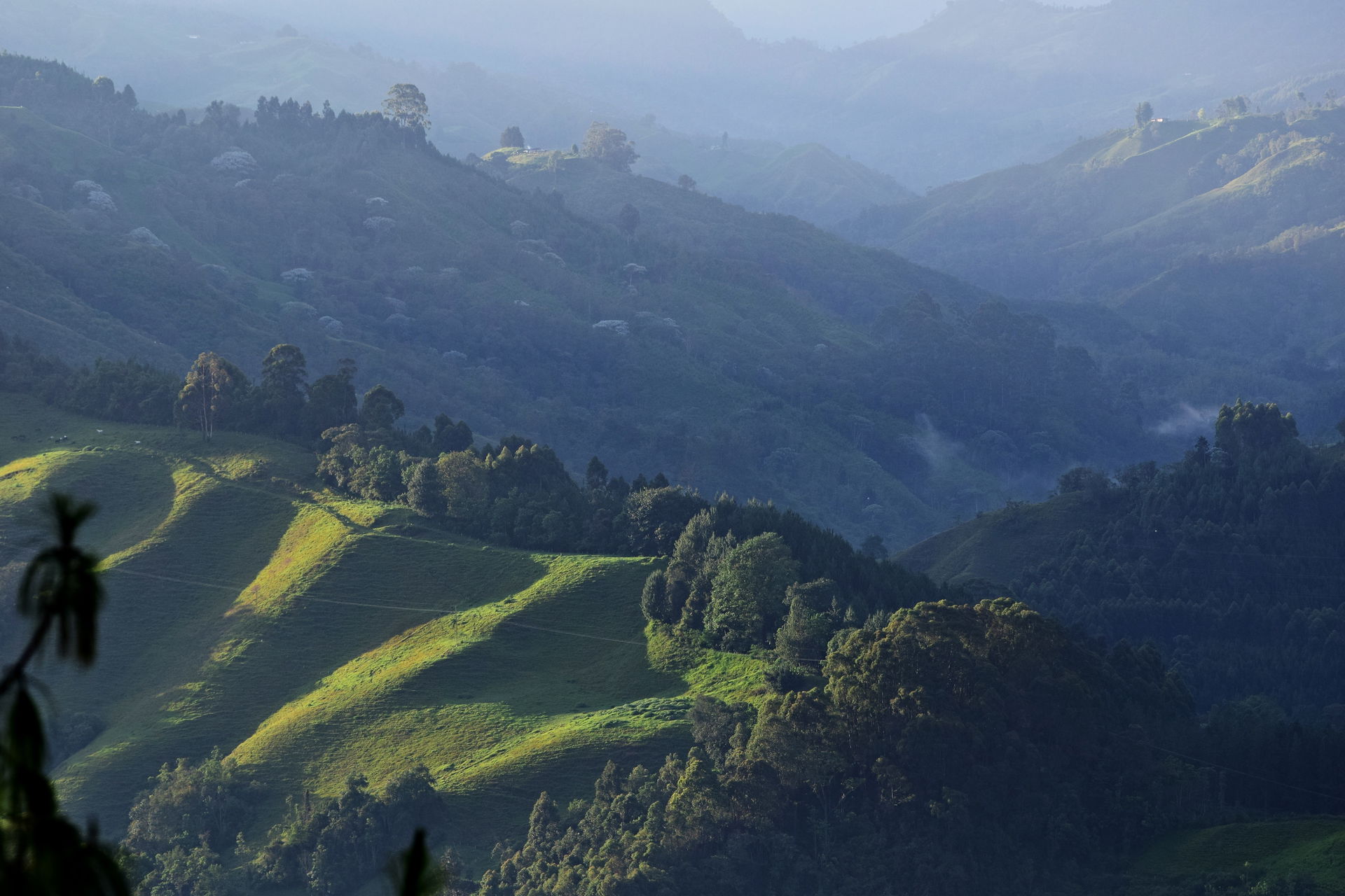 Vista Hermosa view 2