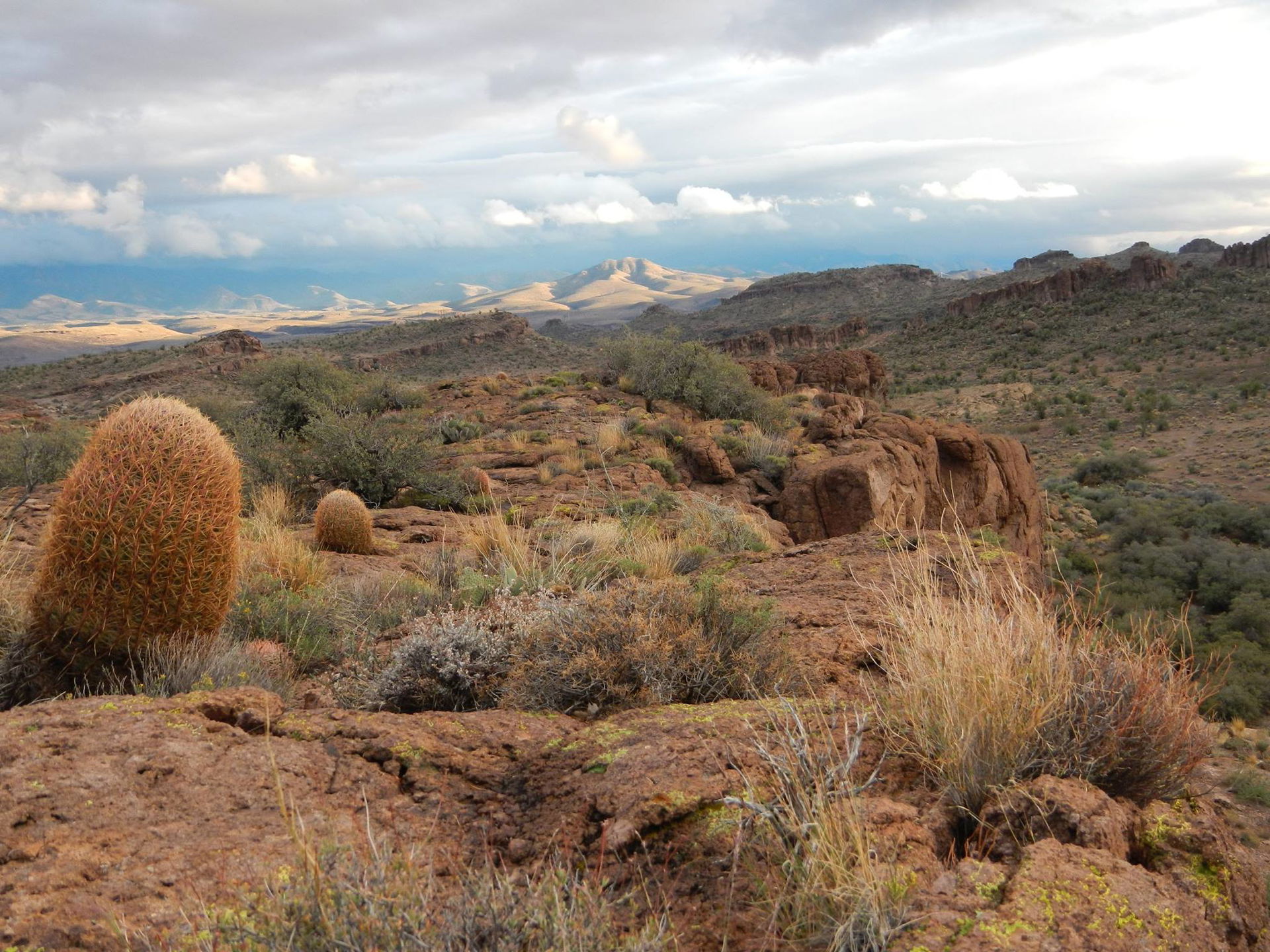 Cactus Acres view 4