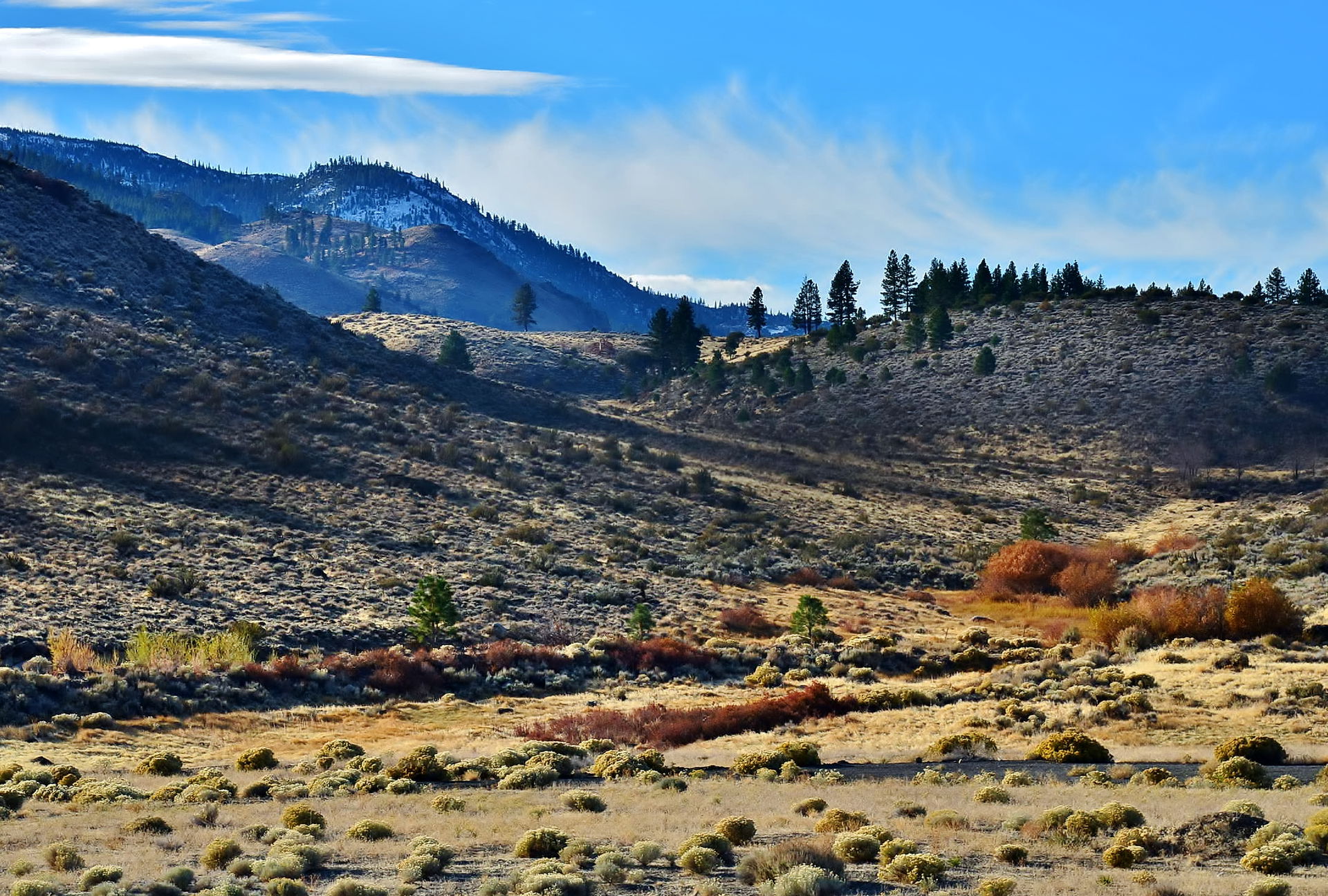 Washoe County view 2