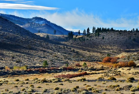 Washoe County view 2