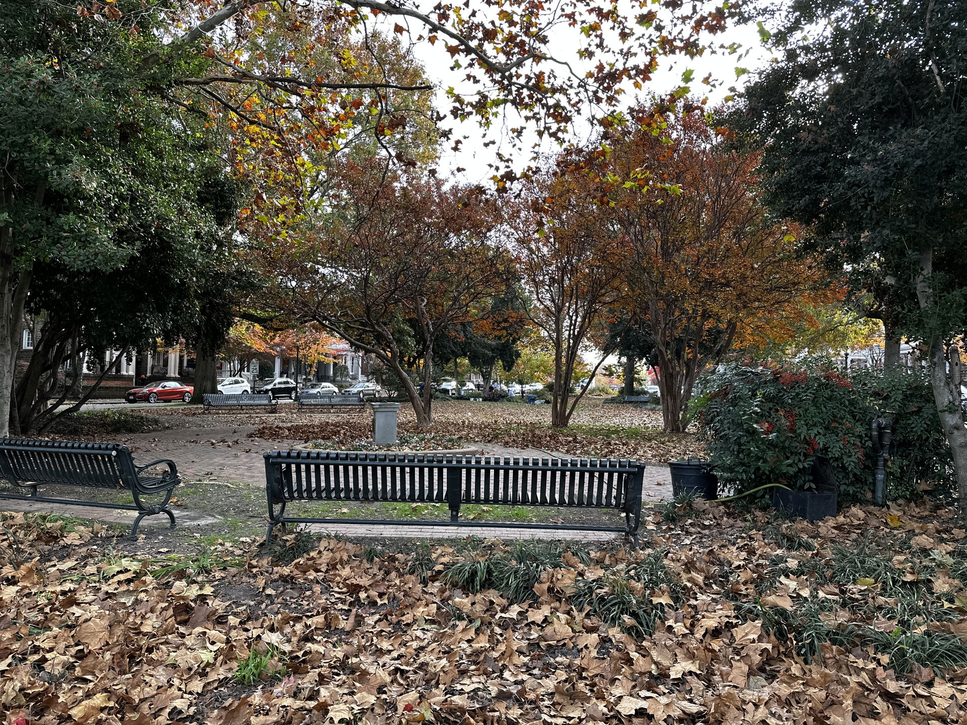 Fan District view 2