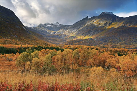 Highland view 3