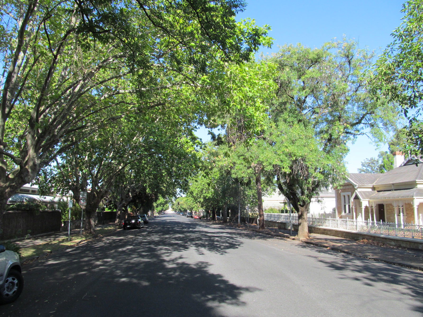 Rose Park view 2