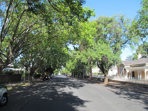Rose Park view 2