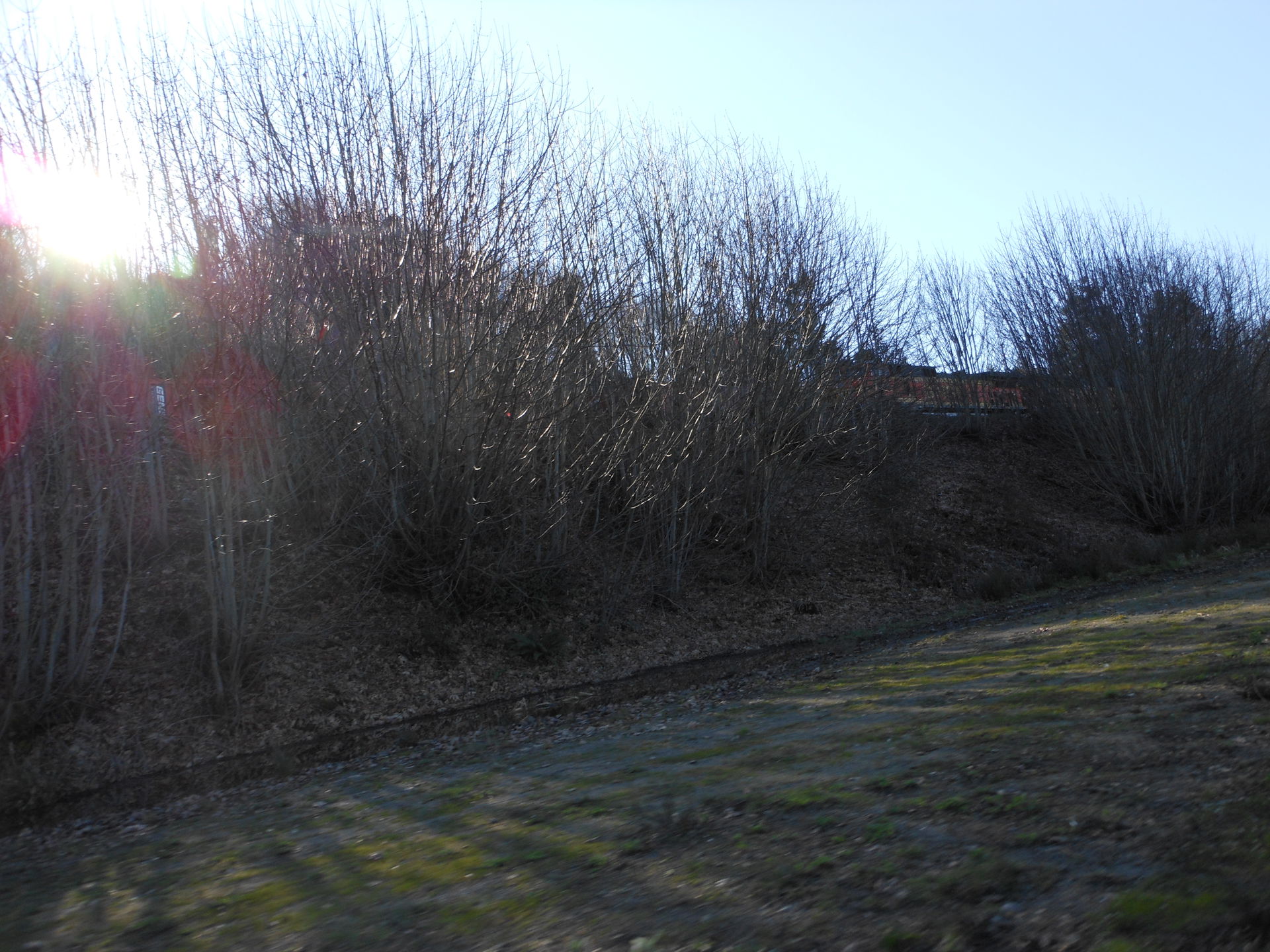 North Tacoma view 2