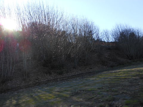 North Tacoma view 2