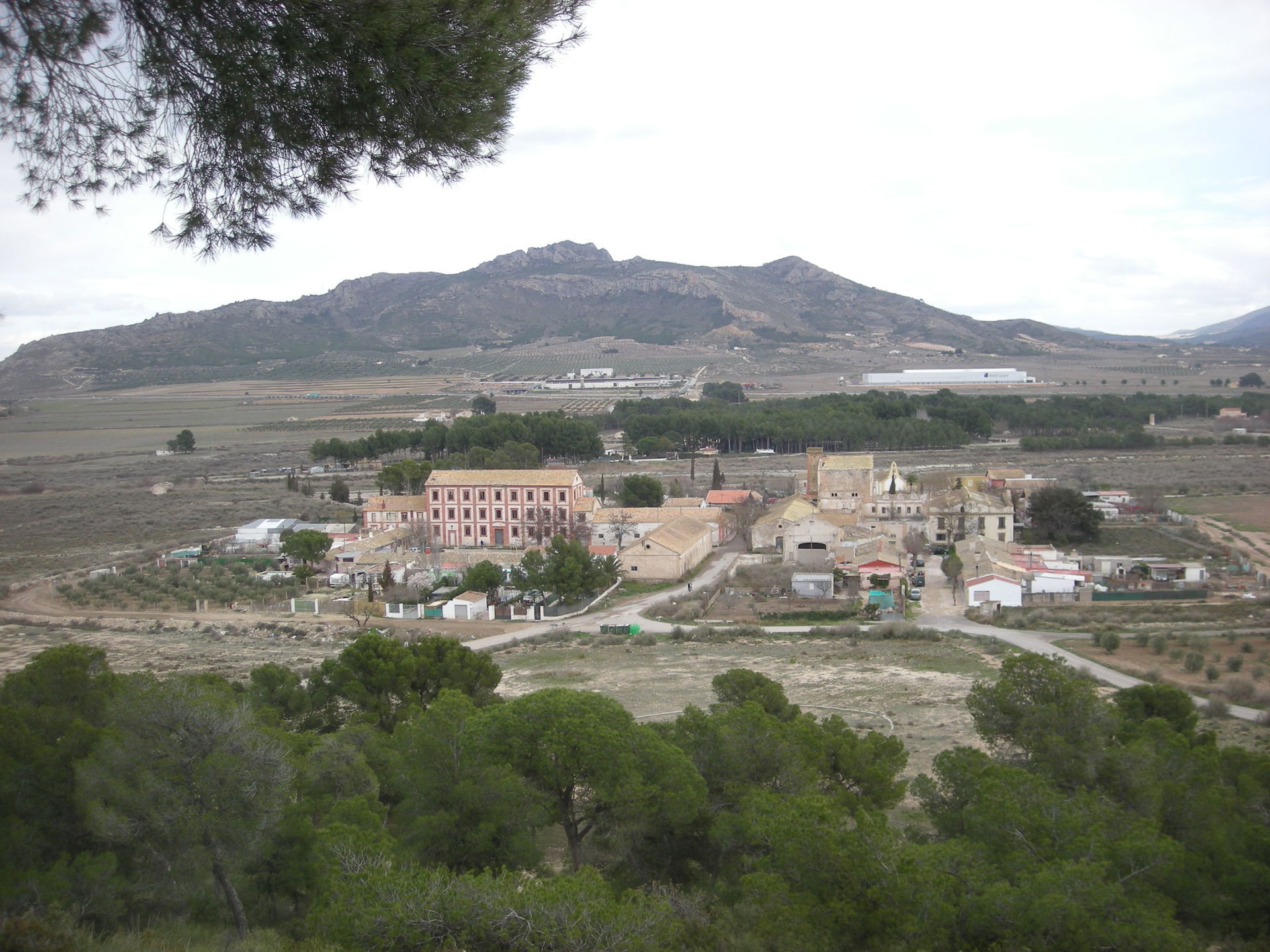 La Colonia view 5