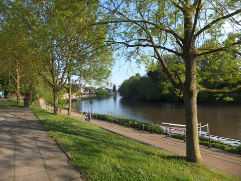 Worcester view 2