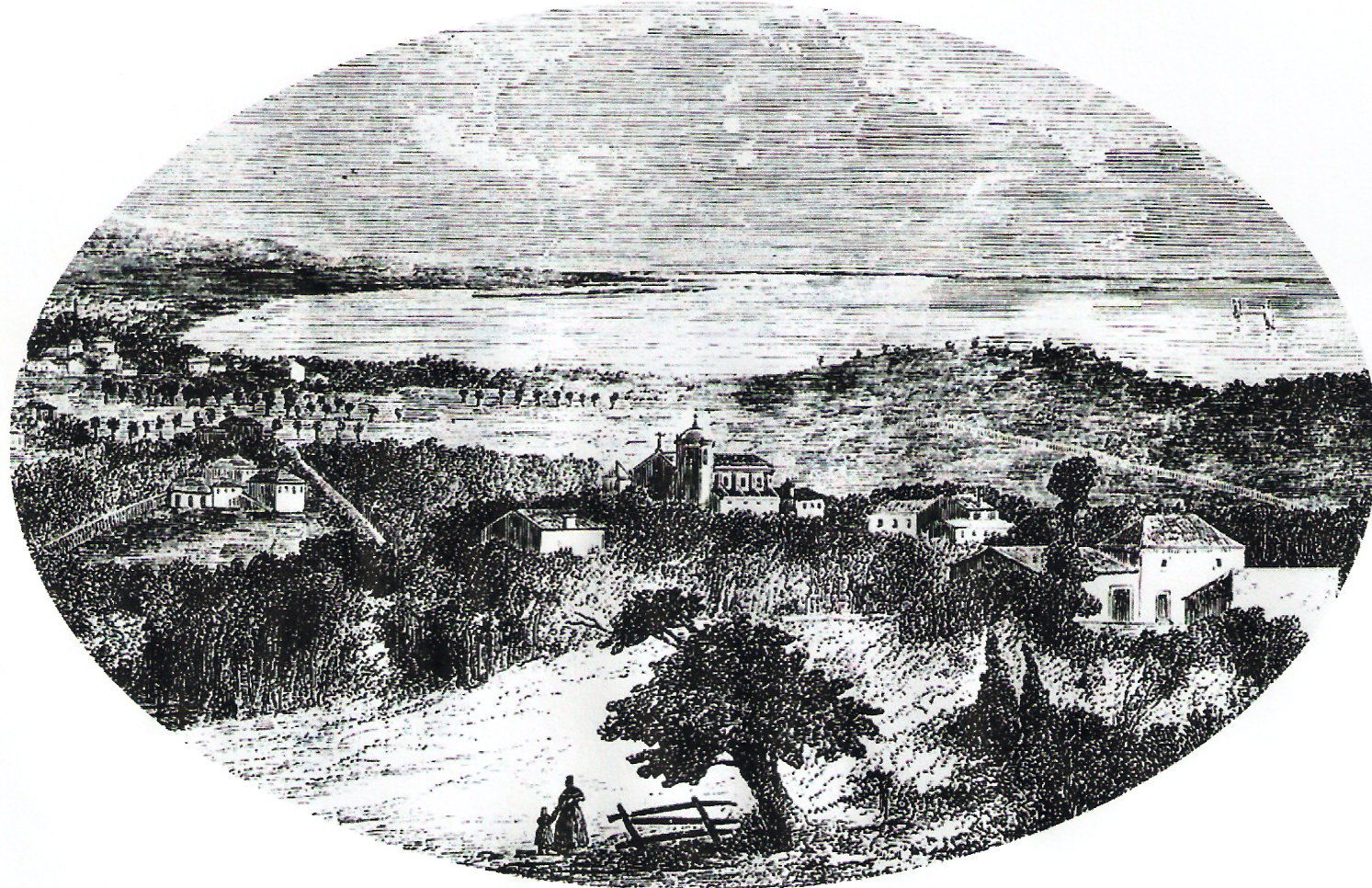 Olivais view 3