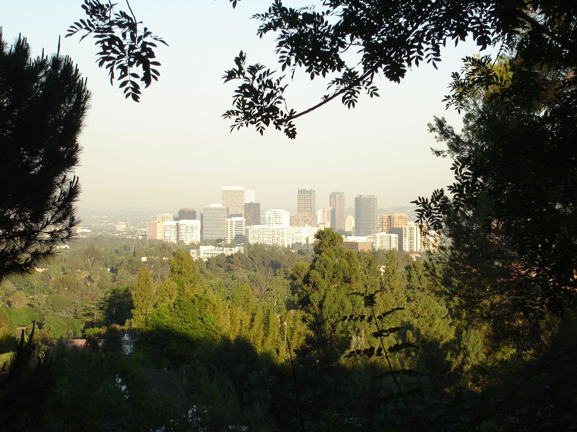 Westwood view 3