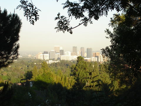 Westwood view 3