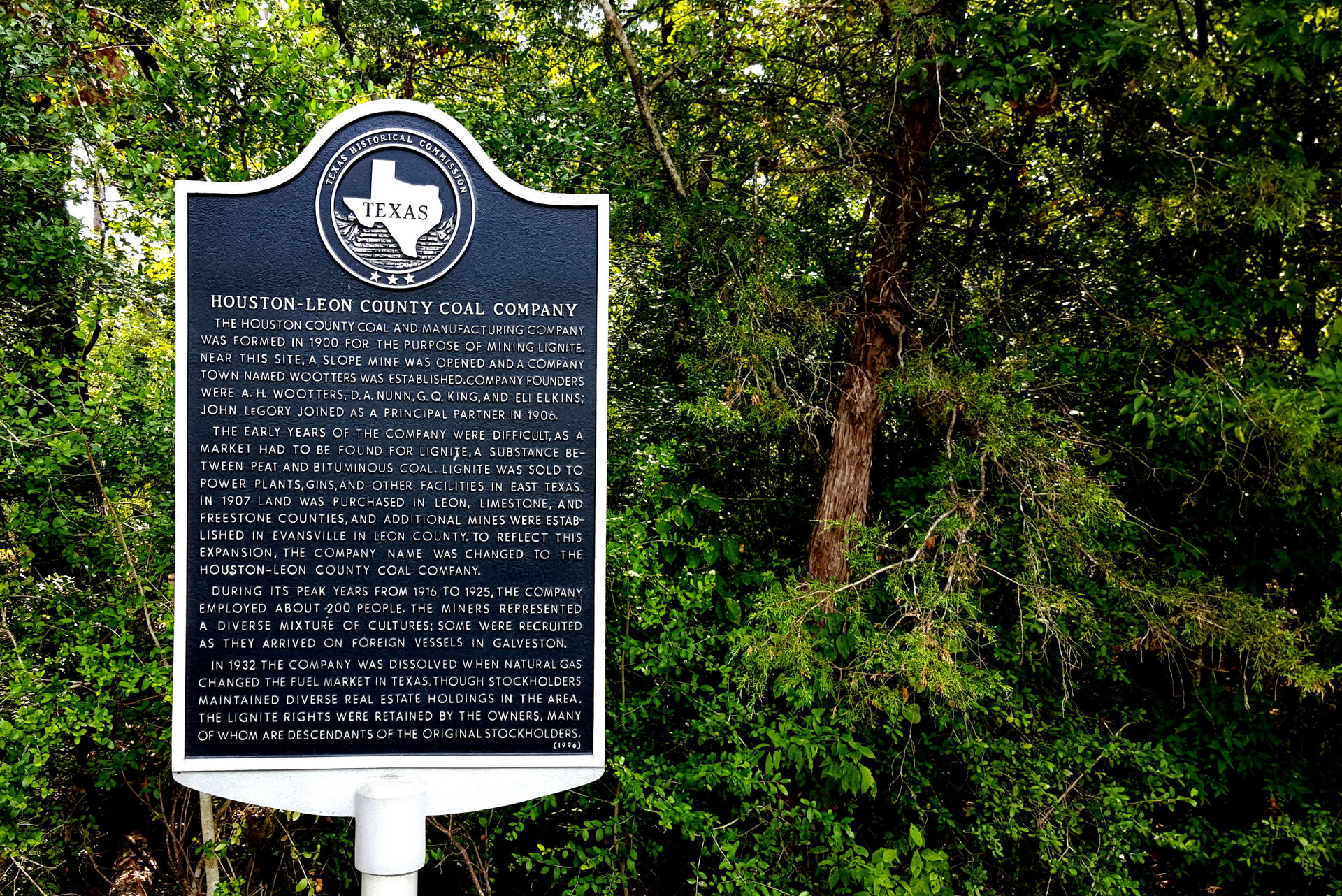 Leon County view 4